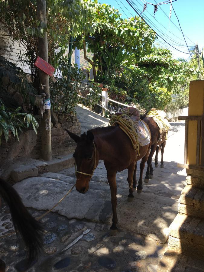 Casa Berita Villa Yelapa Kültér fotó